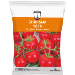 Shriram Super 1616